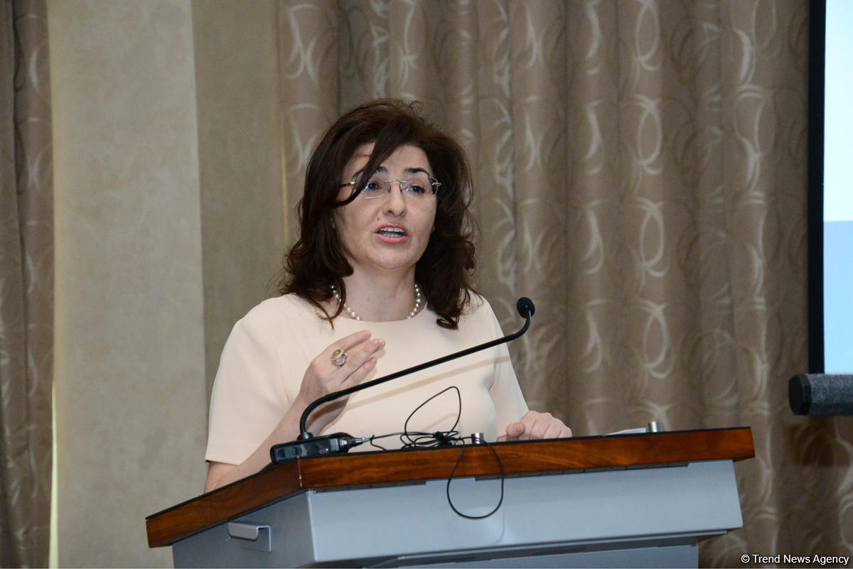 Севиндж Гасанова: Оккупация азербайджанских земель препятствует устойчивому развитию в регионе