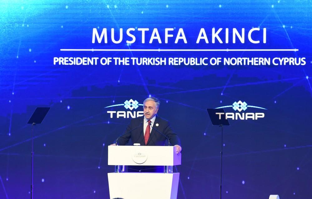 Президент Ильхам Алиев принял участие в церемонии открытия TANAP в Турции (ФОТО)