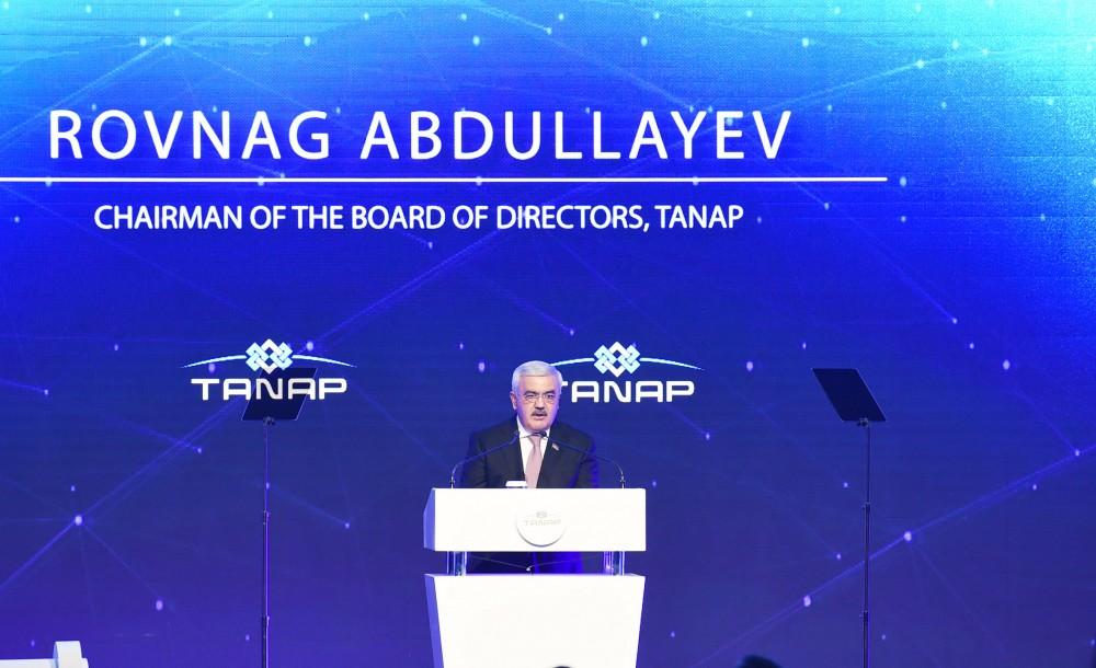 Ровнаг Абдуллаев: Прямая транспортировка азербайджанского газа на европейские рынки усилит геостратегическую позицию Турции
