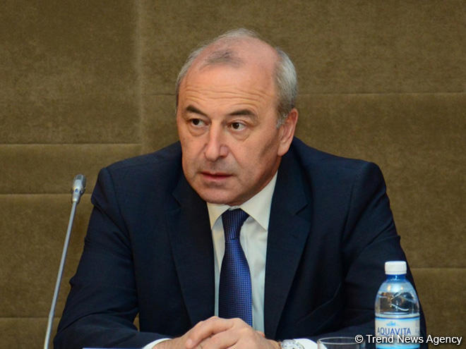 Azerbaijani deputy minister reveals areas of roadmap for connection to public services