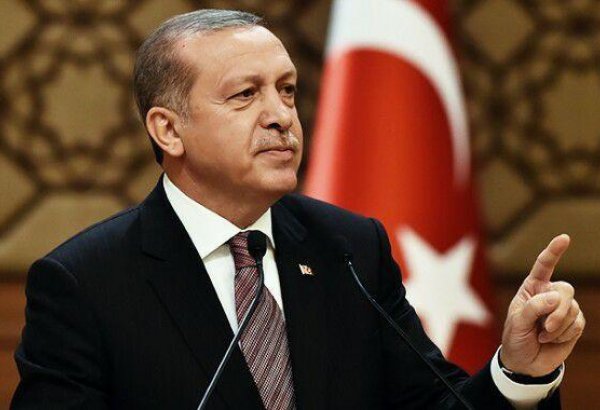 Erdogan: Turkey doing everything possible to stabilize situation in Syria