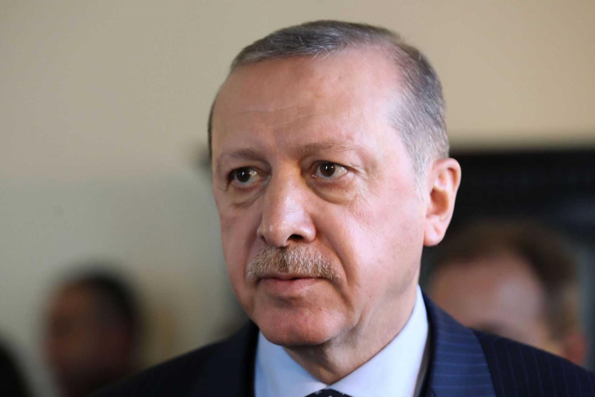 Турция готова внести вклад в снижение напряженности между Россией и Украиной - Реджеп Тайип Эрдоган