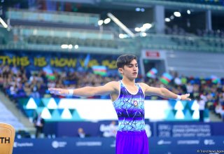Азербайджанский гимнаст выступит на юношеской Олимпиаде в Буэнос-Айресе