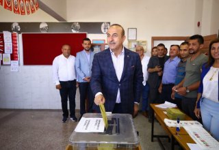 Сегодняшние выборы являются самыми важными в истории Турции – глава МИД