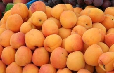 Uzbekistan begins exporting apricots of new crop