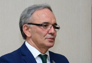 Определенные силы противодействуют добрососедским отношениям между Азербайджаном и Грузией - депутат