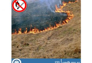 В Азербайджане предусмотрены штрафы за поджог посевных площадей после уборки урожая