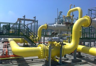 Turkmen gas chemical complex reveals production indicators