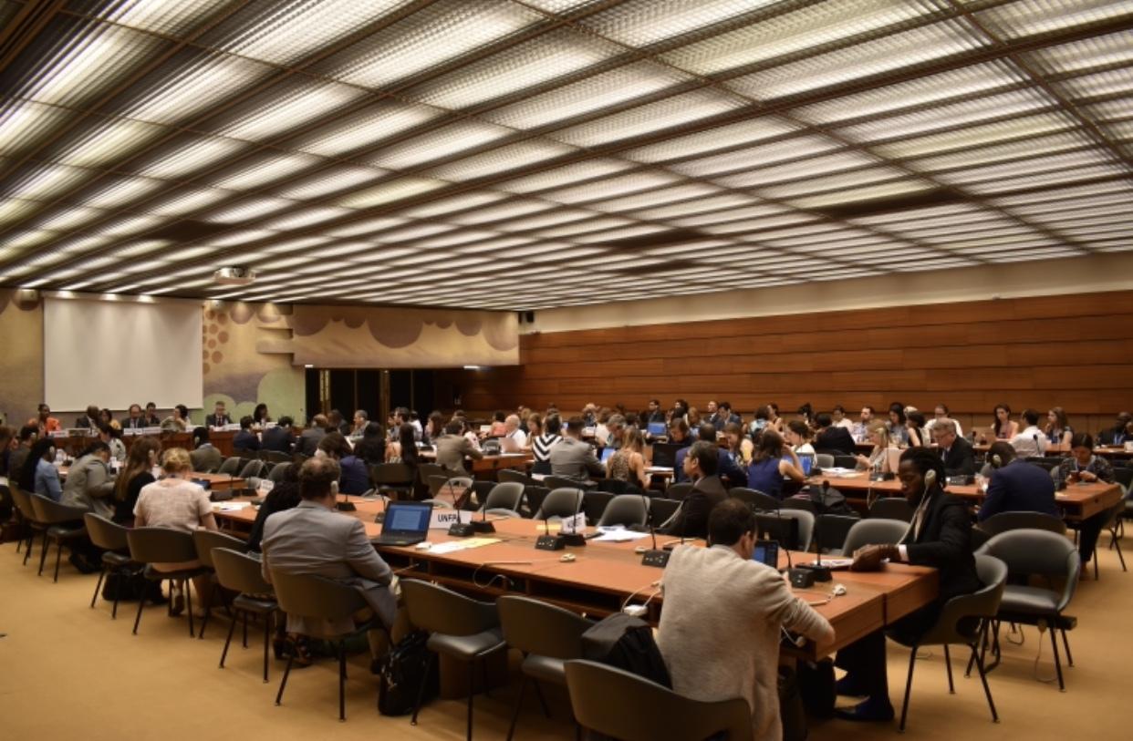 В ООН при соорганизаторстве Азербайджана обсудили права лиц африканского происхождения