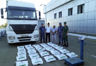 Азербайджанские таможенники пресекли крупный наркотрафик в Европу (ФОТО)