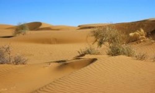 Turkmenistan applies for inclusion of Karakum Desert in UNESCO World Heritage List