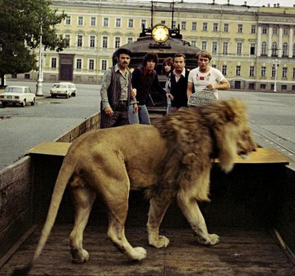 В Баку скончалась владелица львов: фильмы - "Невероятные приключения итальянцев в России", "Лев ушел из дома"  (ФОТО)