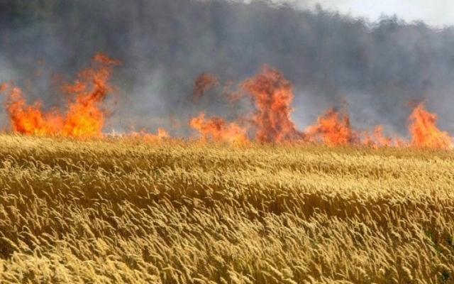 Предпринимателям в Азербайджане будут сделаны страховые выплаты в связи с пожарами