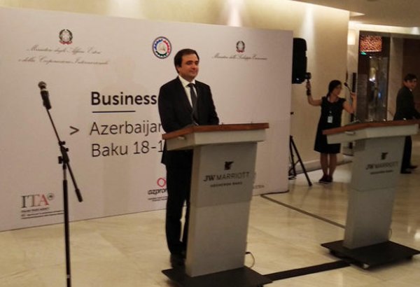 Nazir müavini: Azərbaycan İtaliya ilə iqtisadi əməkdaşlığı genişləndirmək istəyir