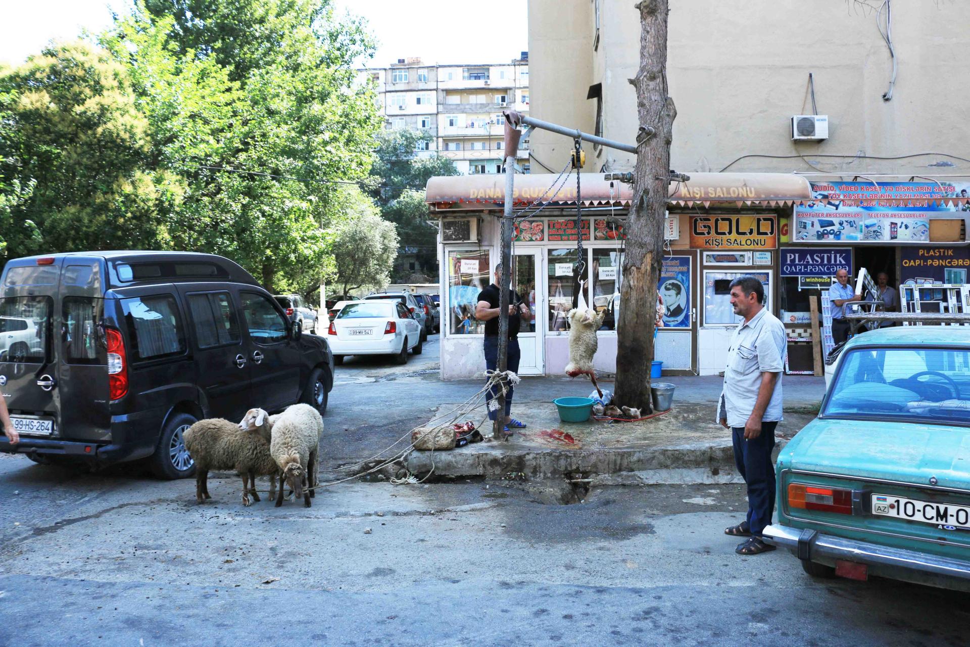В Азербайджане начались рейды с целью прекращения работы пунктов незаконного забоя скота (ФОТО)