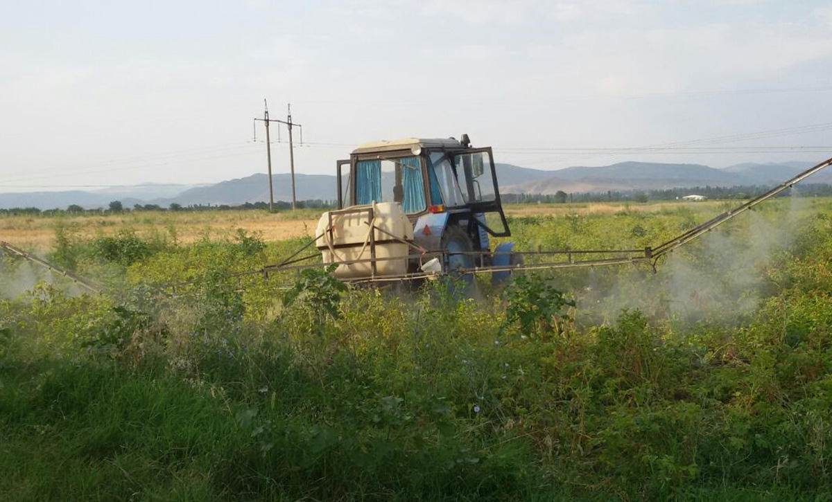 Agricultural economy transforming in Azerbaijan