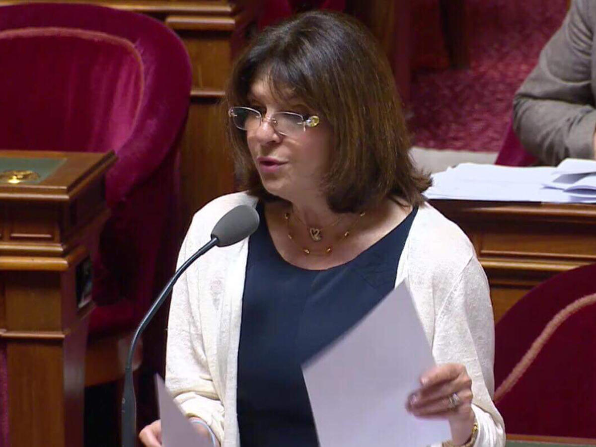 French Senator strongly condemns terrorist attack at Azerbaijani Embassy in Iran