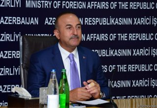 Turkish FM: Azerbaijan took timely measures against Gulen movement