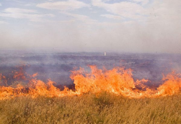 Азербайджанские фермеры должны понять вред поджога полей после сбора урожая - эксперт