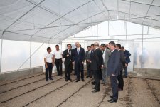 Шахин Мустафаев пригласил предпринимателей к реализации проектов в Джоджуг Марджанлы (ФОТО)