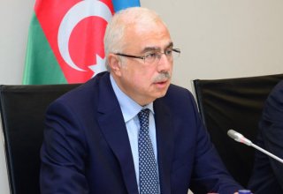 Azərbaycan iqtisadiyyatı 3,4 dəfə böyüyüb - Nazir müavini