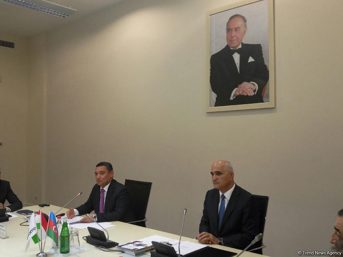 Таджикистан заинтересован сотрудничать с Азербайджаном в производстве алюминия - министр (ФОТО)