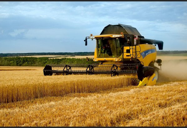 При сборе урожая "Агролизинг" будет отдавать предпочтение малым зерновым хозяйствам Азербайджана