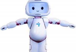 Autizmdən əziyyət çəkən uşaqlara kömək edən robot təqdim edilib