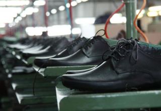 Turkmenistan launches production of Shir deri branded shoes