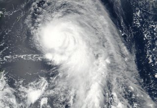 Четыре человека погибли после удара тайфуна "Хагибис"