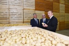 Президент Ильхам Алиев принял участие в открытии аргропарка в Исмаиллинском районе (ФОТО)