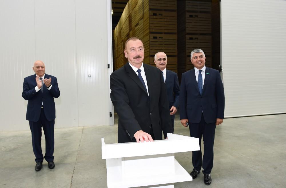 Prezident İlham Əliyev İsmayıllı rayonunda aqroparkın açılışında iştirak edib (FOTO) (YENİLƏNİB)