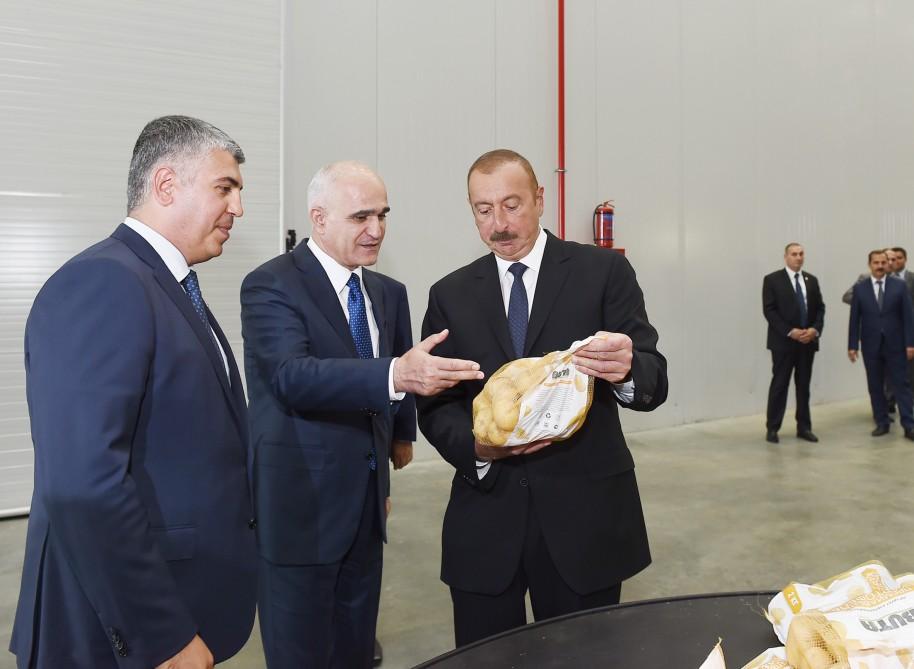 Президент Ильхам Алиев принял участие в открытии аргропарка в Исмаиллинском районе (ФОТО)