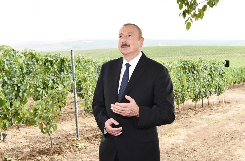 President Ilham Aliyev, first lady Mehriban Aliyeva attend opening of vine-growing and wine-making complex of Shirvan wines LLC in Shamakhi district (PHOTO)
