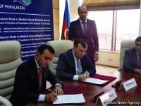 Минтруда и Госагентство по оказанию услуг гражданам Азербайджана расширяют сотрудничество в сфере ИКТ  (ФОТО)