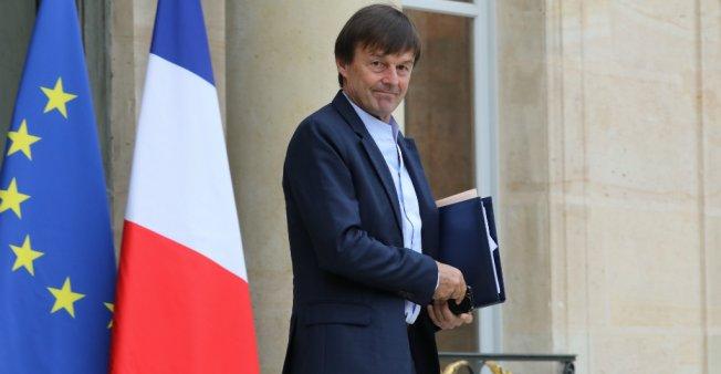 French environment minister quits, citing lack of policy progress