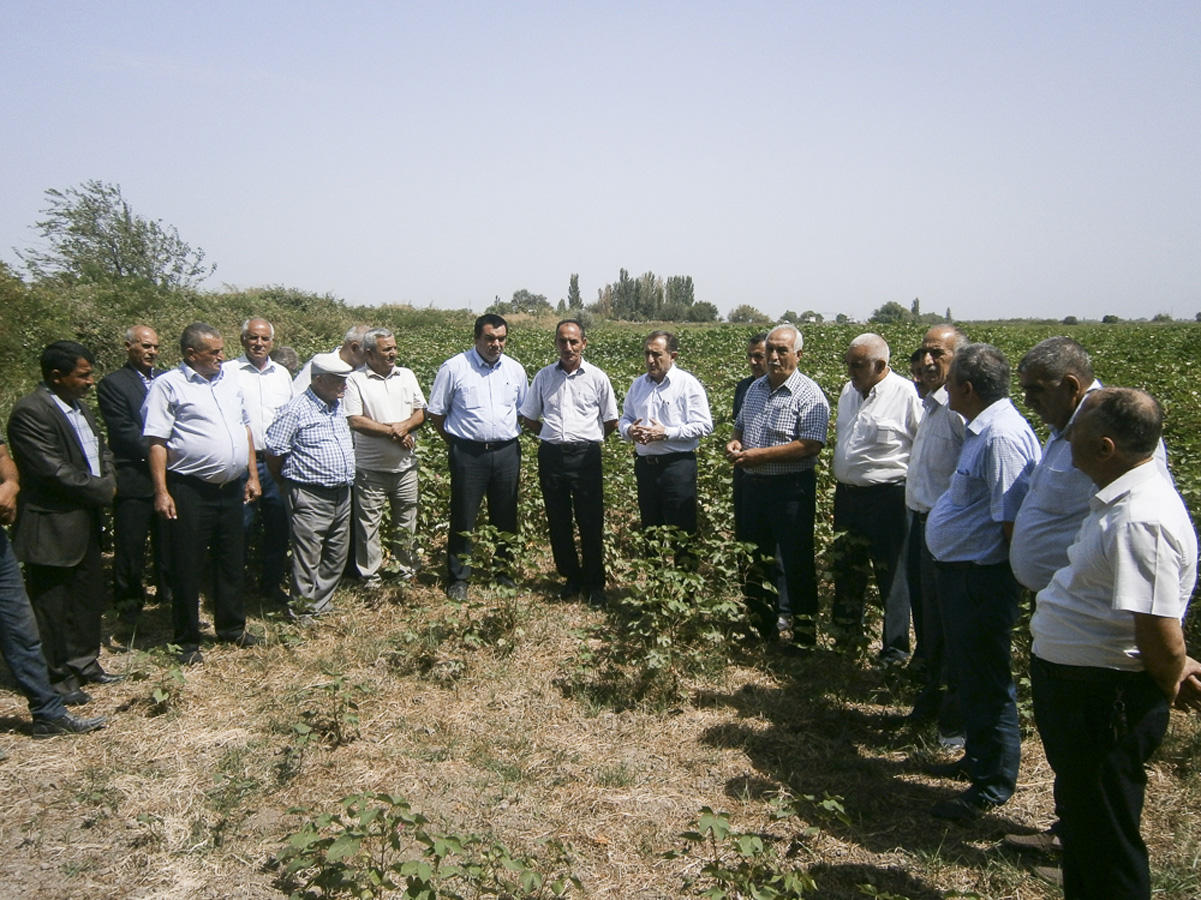 В Центрах аграрного развития Азербайджана создаются фермерские и координационные советы (ФОТО)