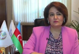 Замминистра: В Азербайджане и сегодня есть учителя не знающие свой предмет на должном уровне