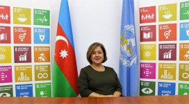 New WHO rep in Azerbaijan appointed