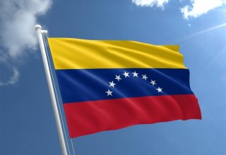 Власти Венесуэлы ответили на заявление генсека ОАГ о вооруженном вторжении