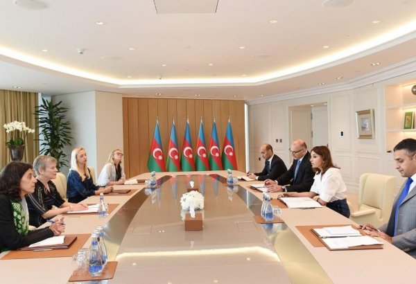 First VP Mehriban Aliyeva: Azerbaijan's territorial integrity must be restored, refugees must return to their homeland, only then peace will be established in region (PHOTO)