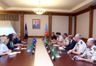 Azerbaijani defense minister meets NATO’s deputy secretary general (PHOTO)