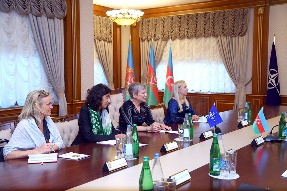 Azerbaijani defense minister meets NATO’s deputy secretary general (PHOTO)