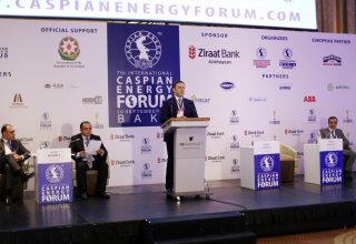 Əmək və əhalinin sosial müdafiəsi nazirinin müavini “Caspian Energy Forum Baku-2018”də iştirak edib (FOTO)