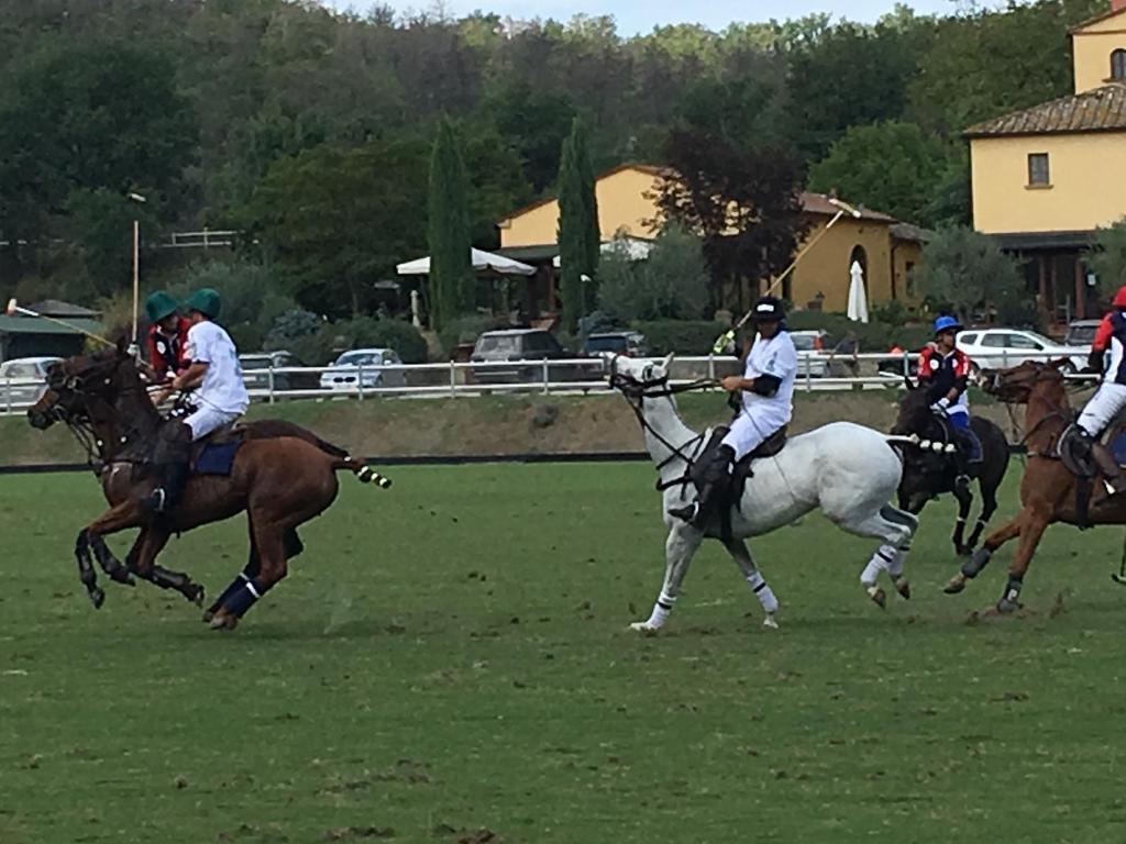 Polo üzrə Avropa çempionatında Azərbaycan millisi 3-cü qələbəsini qazanıb (FOTO)