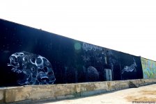В рамках Фестиваля Насими представлен креативный проект "Раскрывающаяся стена" (ФОТО) - Gallery Thumbnail