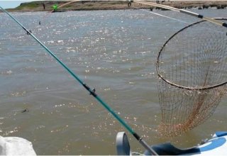 В Азербайджане возбуждено уголовное дело в связи с ловлей рыбы при помощи тока
