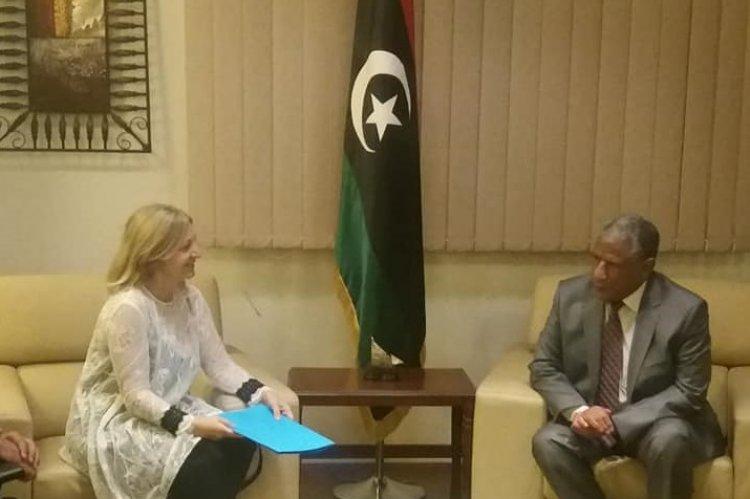 France to resume embassy work in Libya soon: ambassador