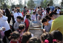 Heydər Əliyev Fondunun vitse-prezidenti Leyla Əliyeva Heyvanların Beynəlxalq Müdafiəsi Gününə həsr olunan tədbirdə iştirak edib (FOTO)