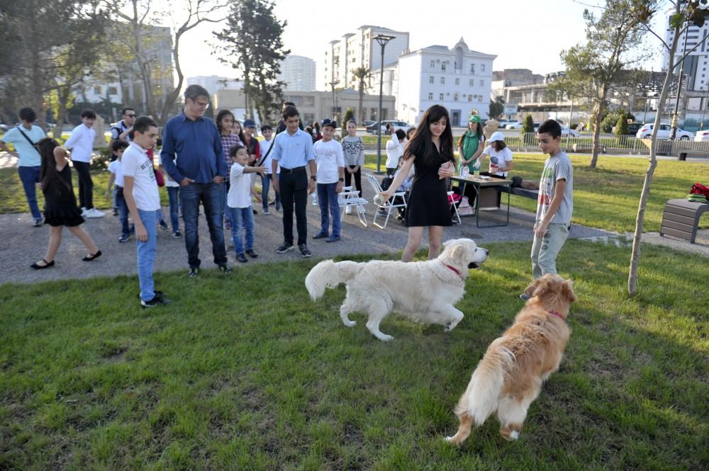 Вице-президент Фонда Гейдара Алиева Лейла Алиева приняла участие в мероприятии, посвященном Всемирному дню защиты животных (ФОТО)